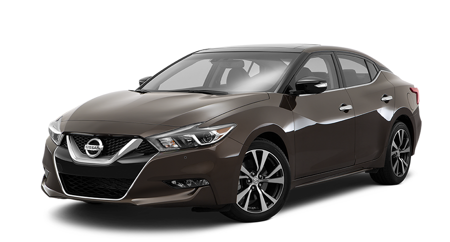 ���� ������ 2016